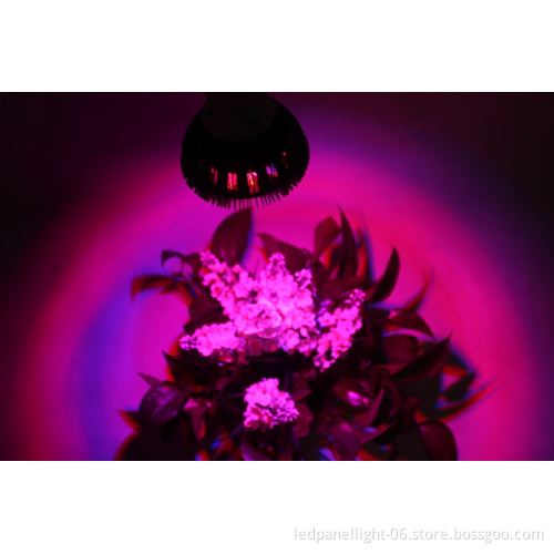 Hot sales in USA Europe 24w 12w 15W 21W 27W 45W 54W E27 led garden light PAR38 led grow light